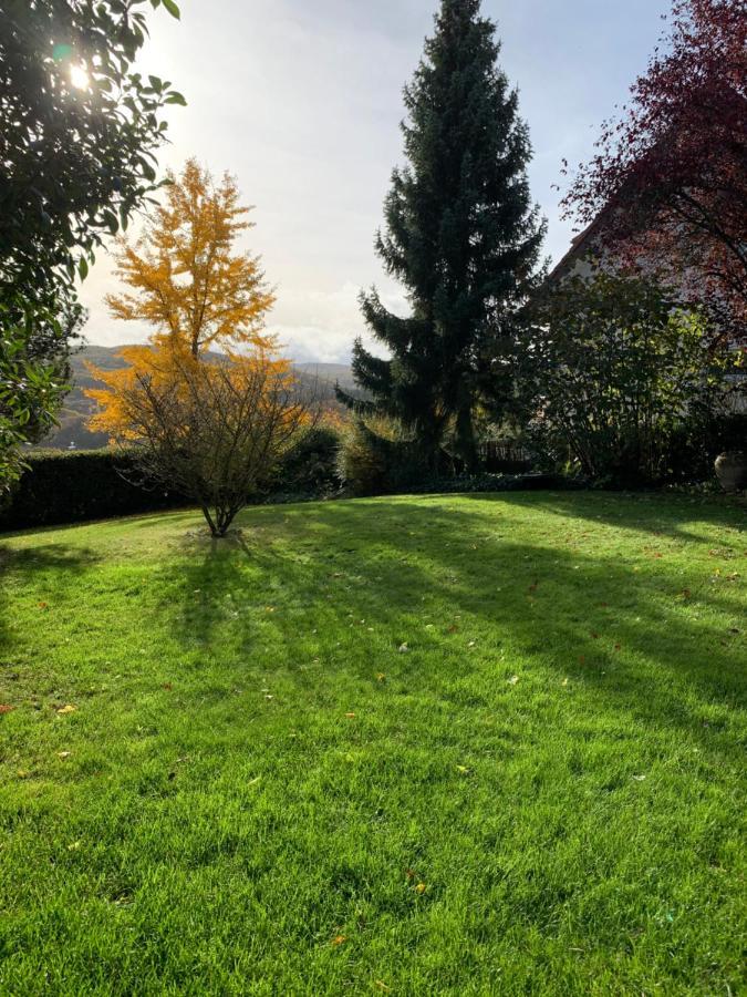 Apartamento Haus Am Pfingstborn Ober-Mörlen Exterior foto